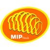 Pšenično bijelo brašno T550 25/1 MiP Sisak